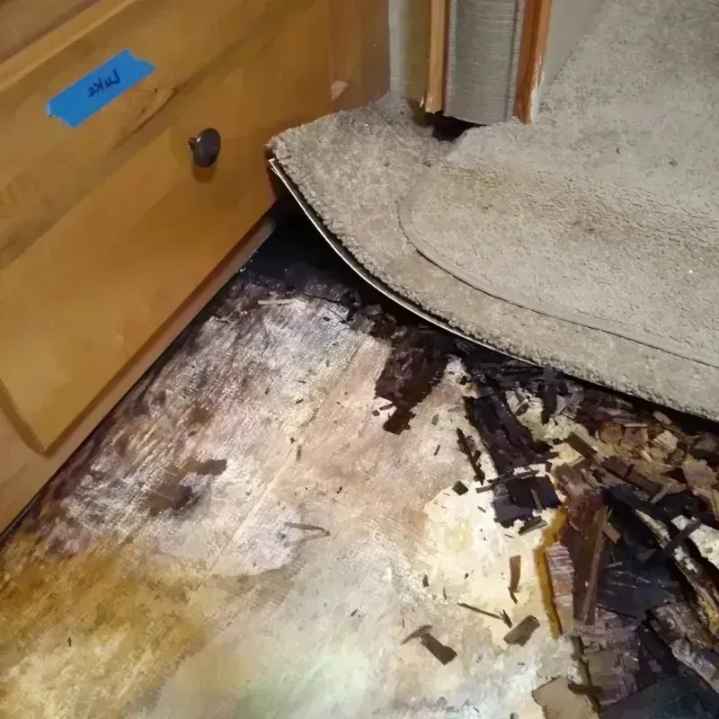 Wood Floor Water Damage in Whitehall, OH